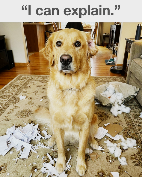 "I can explain."