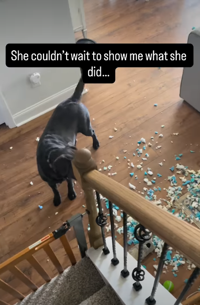 She couldn't wait to show me what she did...