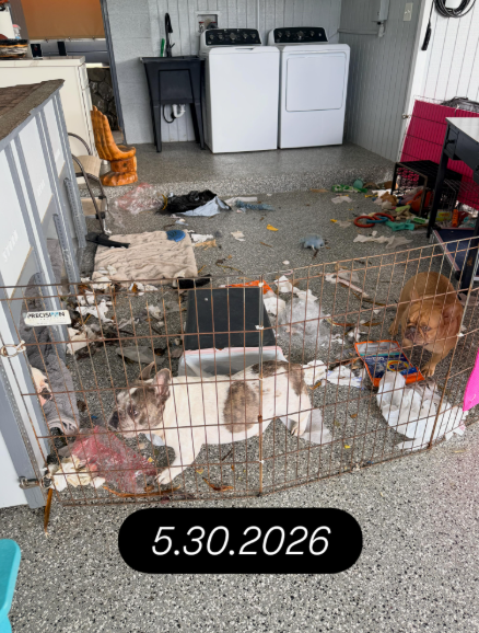 PRECISAN 5.30.2026