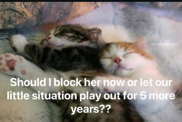 literallymecats Should I block her now or let our little situation play out for 5 more years??