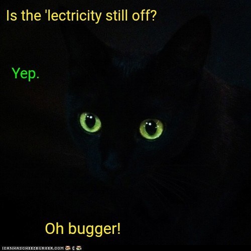 Cheezburger Image 10636800000