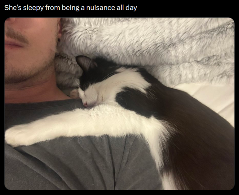 She's sleepy from being a nuisance all day