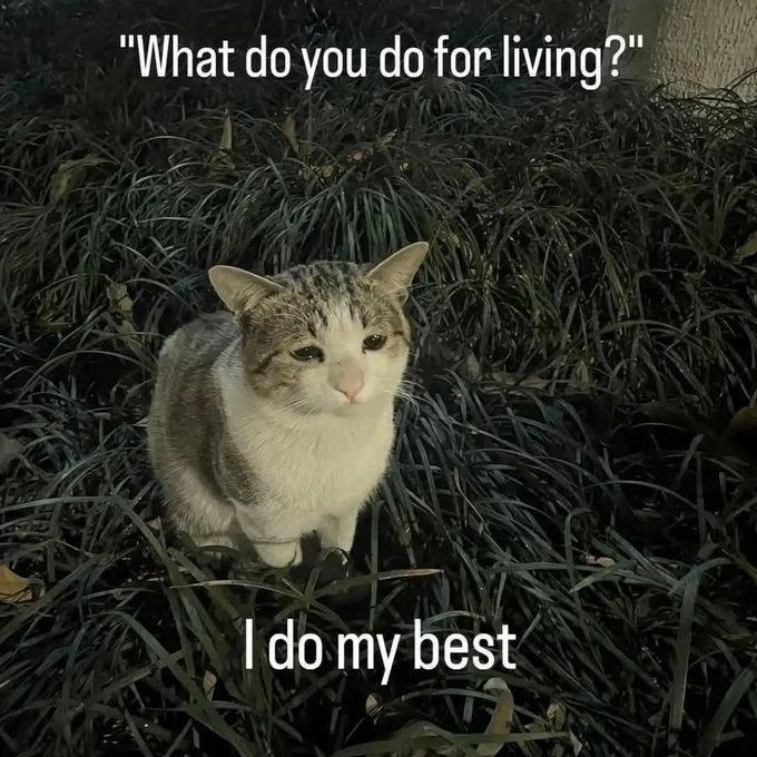 "What do you do for living?" I do my best