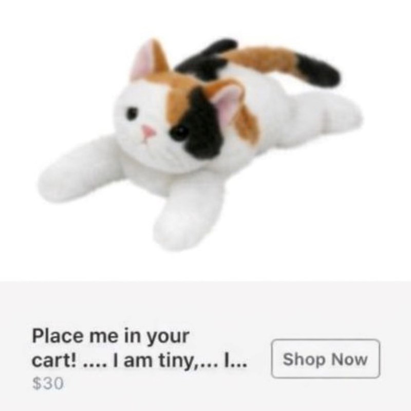 Place me in your cart! .... I am tiny,... I... $30 Shop Now