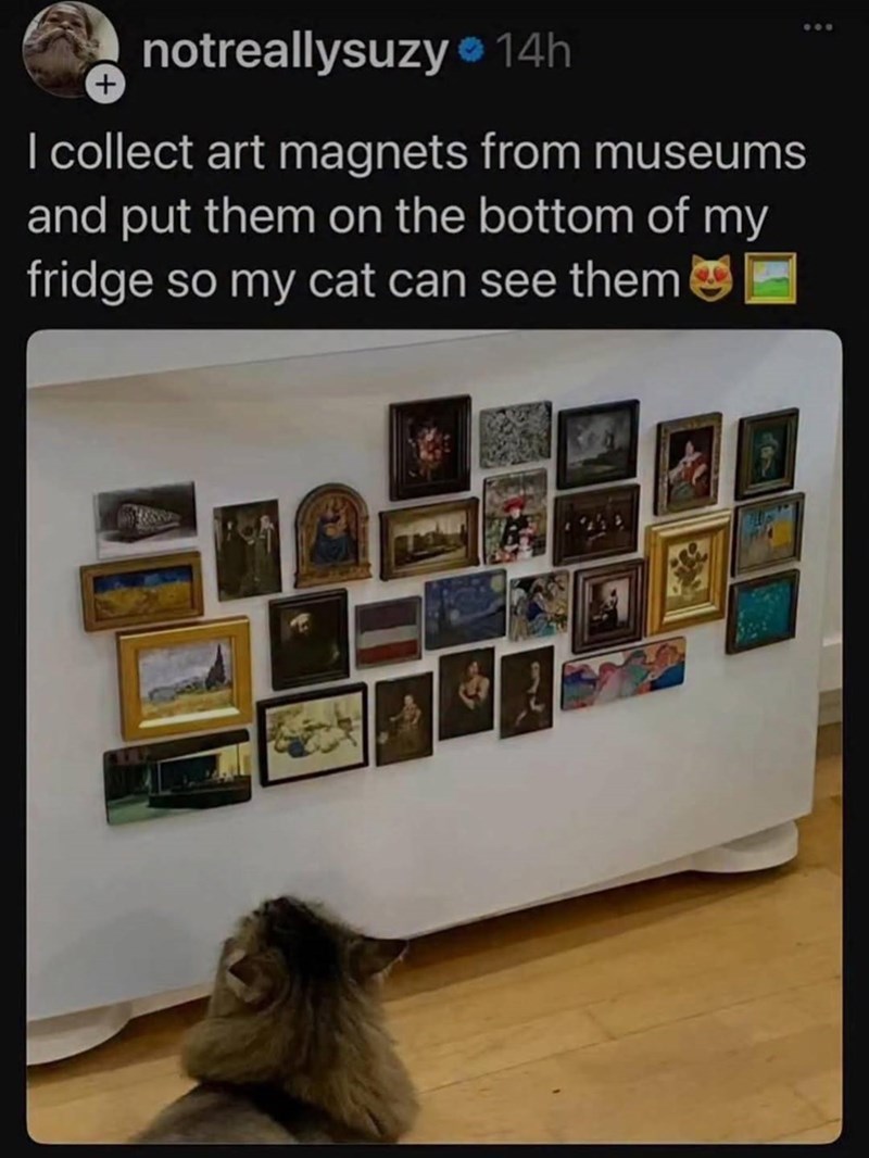 notreallysuzy 14h + I collect art magnets from museums and put them on the bottom of my fridge so my cat can see them 800