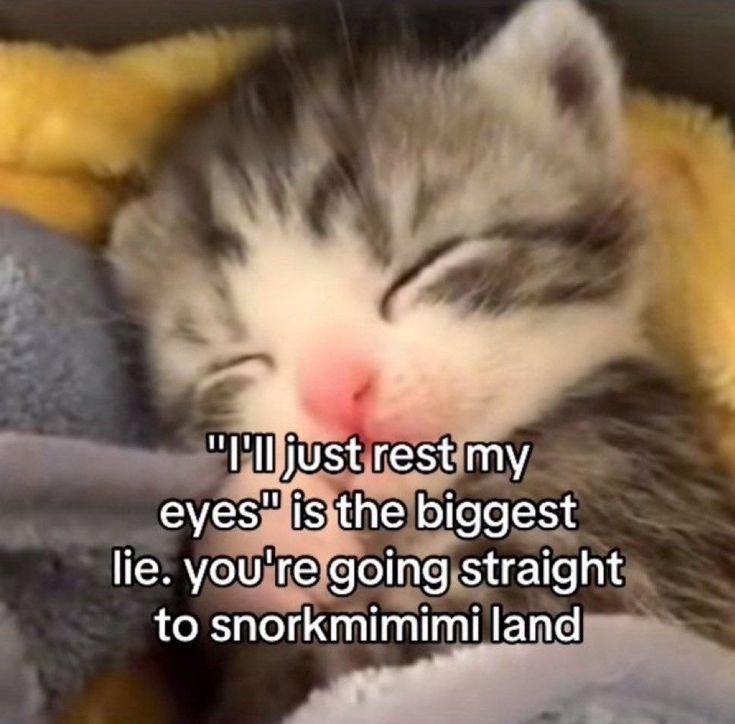 "I'll just rest my eyes" is the biggest lie. you're going straight to snorkmimimi land