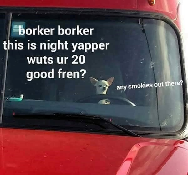 borker borker this is night yapper wuts ur 20 good fren? any smokies out there?