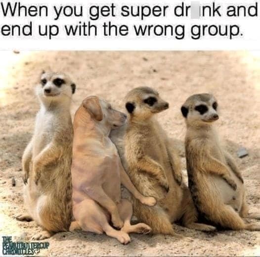 When you get super drink and end up with the wrong group. TRUTERCUP IDLES