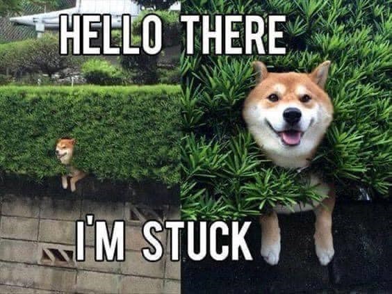 HELLO THERE I'M STUCK
