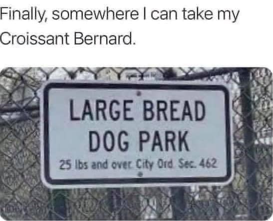 Finally, somewhere I can take my Croissant Bernard. LARGE BREAD DOG PARK 25 lbs and over City Ord Sec. 462