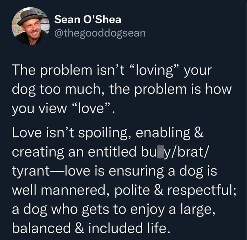 Sean O'Shea @thegooddogsean The problem isn't "loving" your dog too much, the problem is how you view "love". Love isn't spoiling, enabling & creating an entitled bu y/brat/ tyrant-love is ensuring a dog is well mannered, polite & respectful; a dog who gets to enjoy a large, balanced & included life.