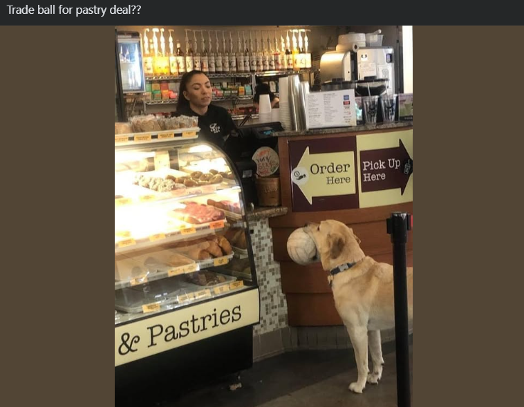 Trade ball for pastry deal?? & Pastries Order Pick Up Here Here