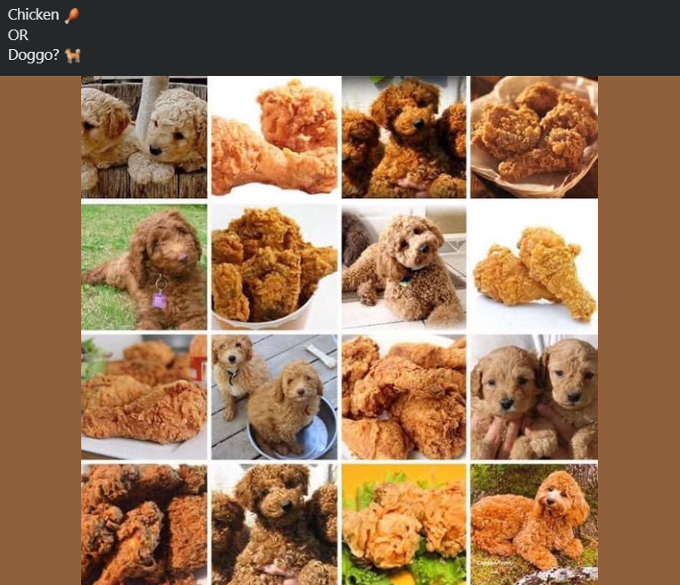 Chicken OR Doggo? H