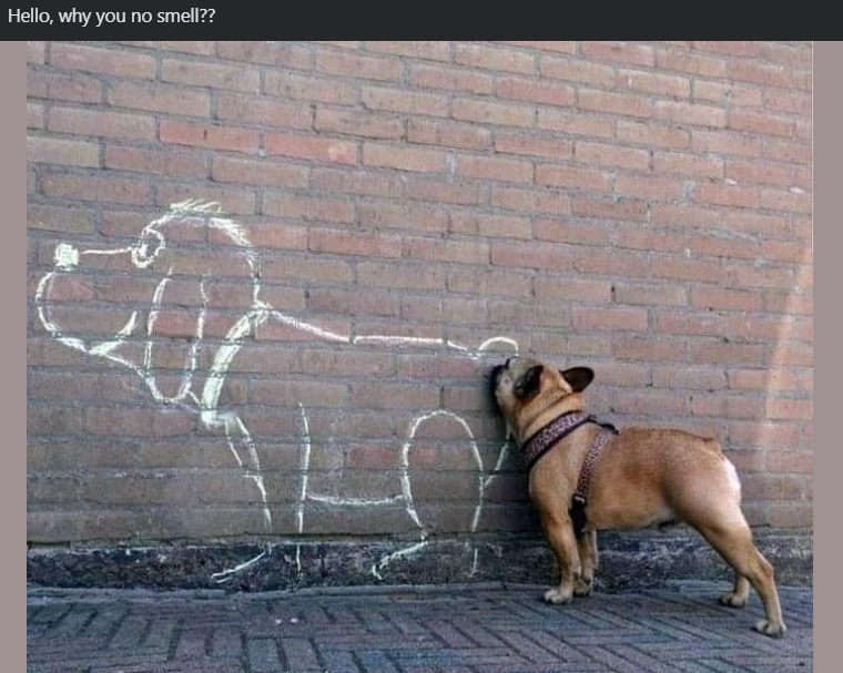 Hello, why you no smell??
