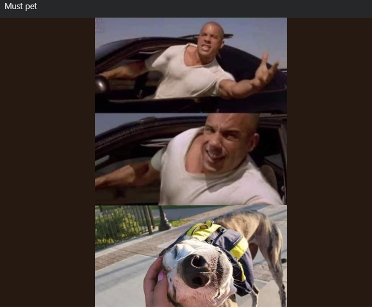 Must pet