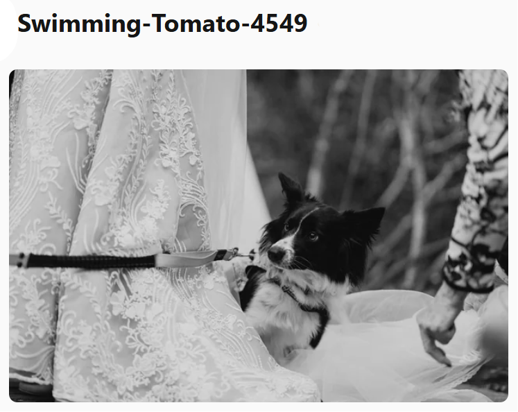 Swimming-Tomato-4549