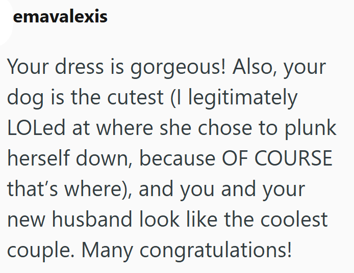 emavalexis Your dress is gorgeous! Also, your dog is the cutest (I legitimately LOLed at where she chose to plunk herself down, because OF COURSE that's where), and you and your new husband look like the coolest couple. Many congratulations!