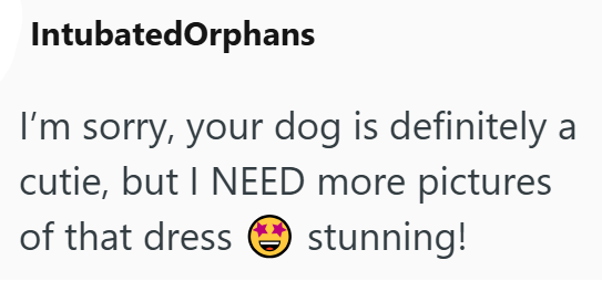 IntubatedOrphans I'm sorry, your dog is definitely cutie, but I NEED more pictures stunning! of that dress a