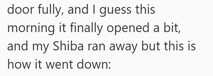 door fully, and I guess this morning it finally opened a bit, and my Shiba ran away but this is how it went down: