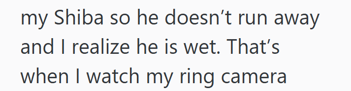 my Shiba so he doesn't run away and I realize he is wet. That's when I watch my ring camera