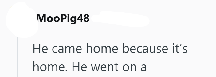 MooPig48 He came home because it's home. He went on a
