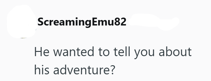ScreamingEmu82 He wanted to tell you about his adventure?