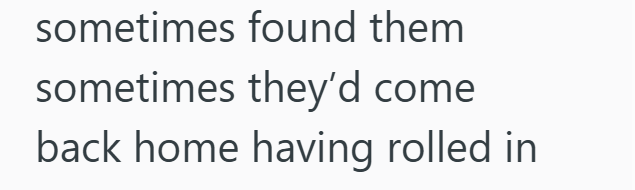sometimes found them sometimes they'd come back home having rolled in