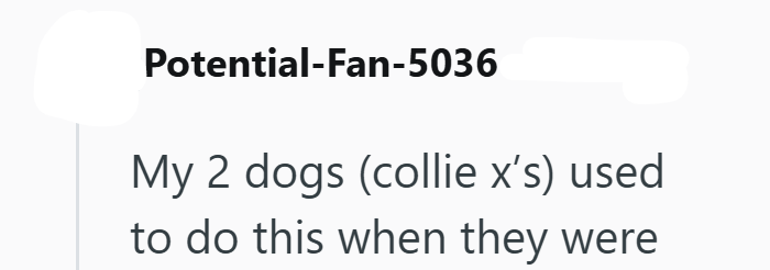 Potential-Fan-5036 My 2 dogs (collie x's) used to do this when they were