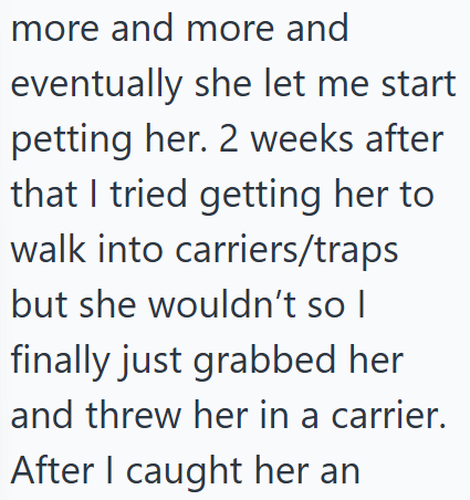 more and more and eventually she let me start petting her. 2 weeks after that I tried getting her to walk into carriers/traps but she wouldn't so I finally just grabbed her and threw her in a carrier. After I caught her an
