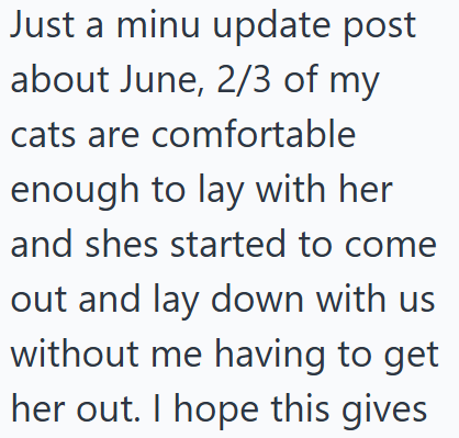 Just a minu update post about June, 2/3 of my cats are comfortable enough to lay with her and shes started to come out and lay down with us without me having to get her out. I hope this gives