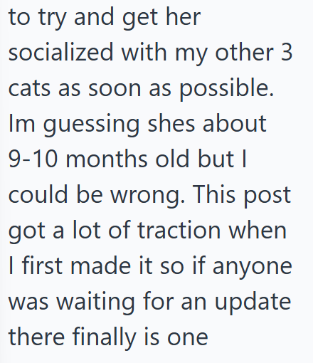 to try and get her socialized with my other 3 cats as soon as possible. Im guessing shes about 9-10 months old but I could be wrong. This post got a lot of traction when I first made it so if anyone was waiting for an update there finally is one
