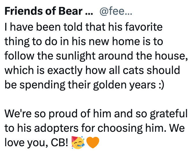 Friends of Bear... @fee... I have been told that his favorite thing to do in his new home is to follow the sunlight around the house, which is exactly how all cats should be spending their golden years :) We're so proud of him and so grateful to his adopters for choosing him. We love you, CB!