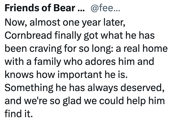 Friends of Bear ... @fee... Now, almost one year later, Cornbread finally got what he has been craving for so long: a real home with a family who adores him and knows how important he is. Something he has always deserved, and we're so glad we could help him find it.