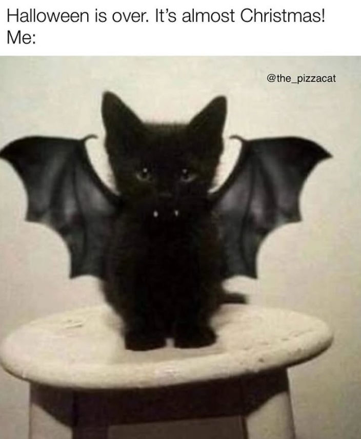 Halloween is over. It's almost Christmas! Me: @the_pizzacat