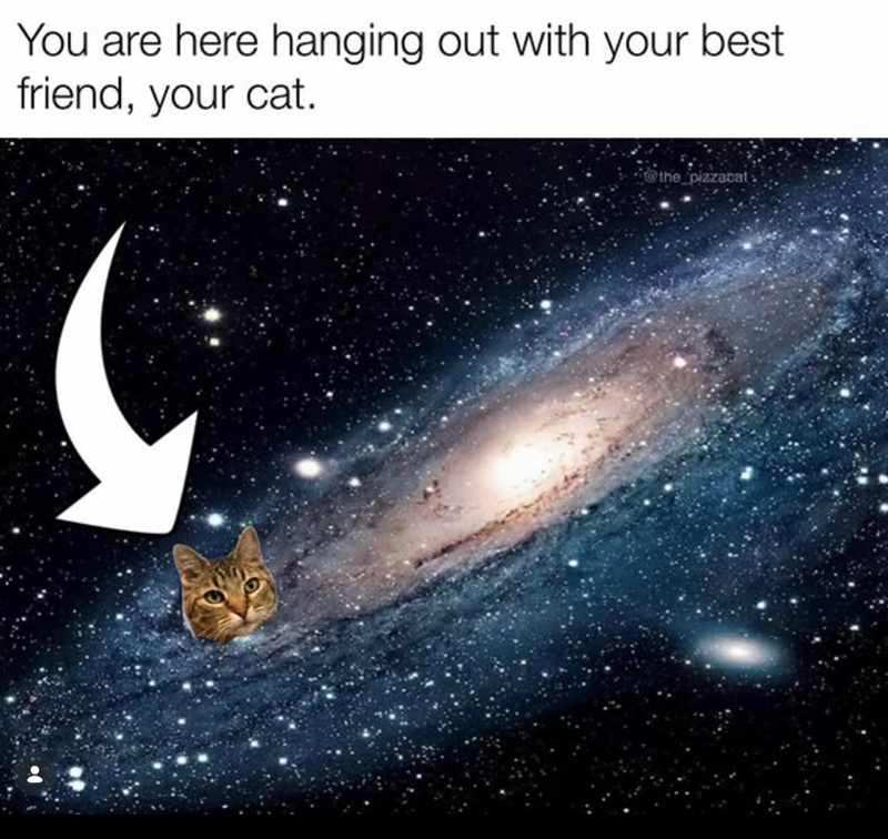 You are here hanging out with your best friend, your cat. @the_pizzacat