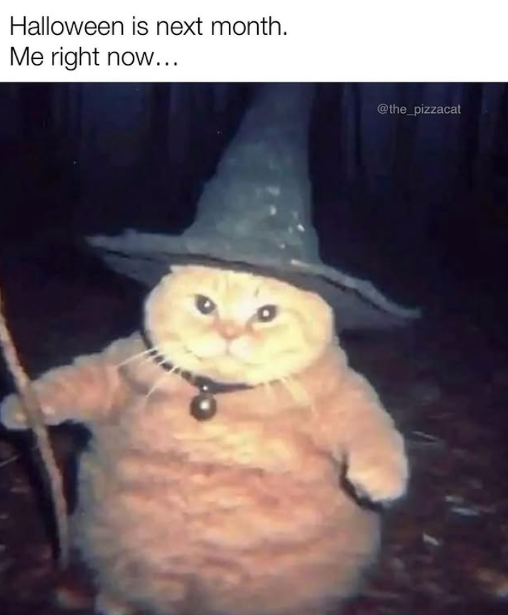 Halloween is next month. Me right now... @the_pizzacat