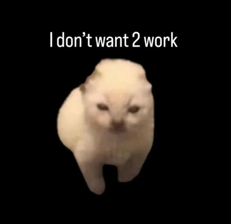 I don't want 2 work
