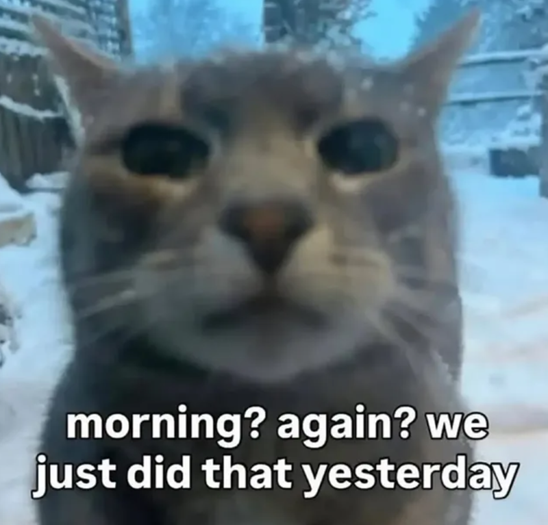 morning? again? we just did that yesterday