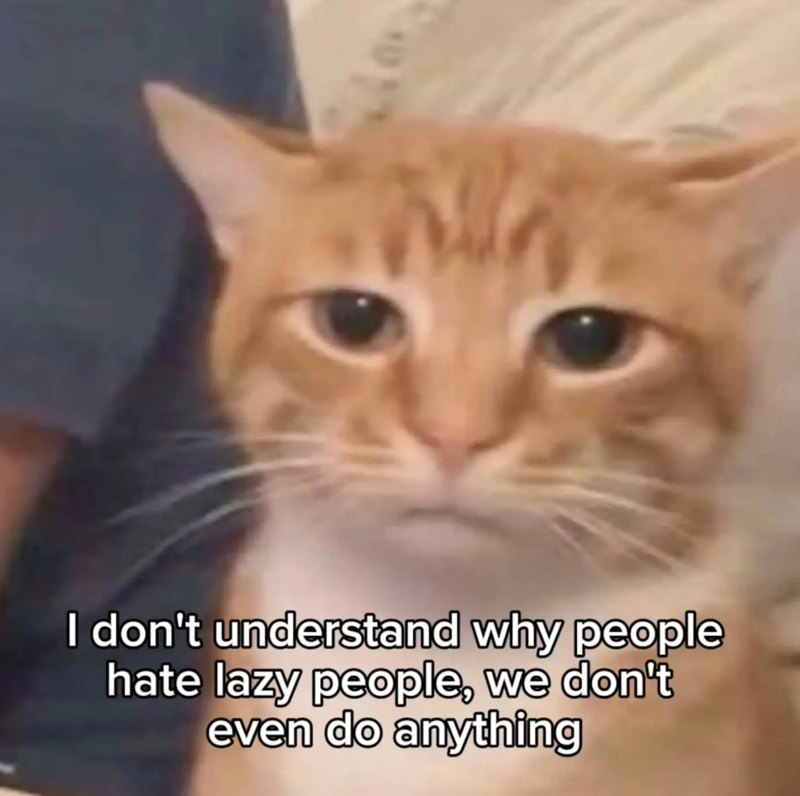 I don't understand why people hate lazy people, we don't even do anything