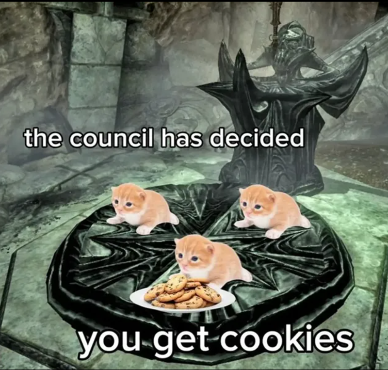 the council has decided you get cookies