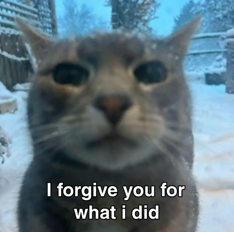 I forgive you for what i did