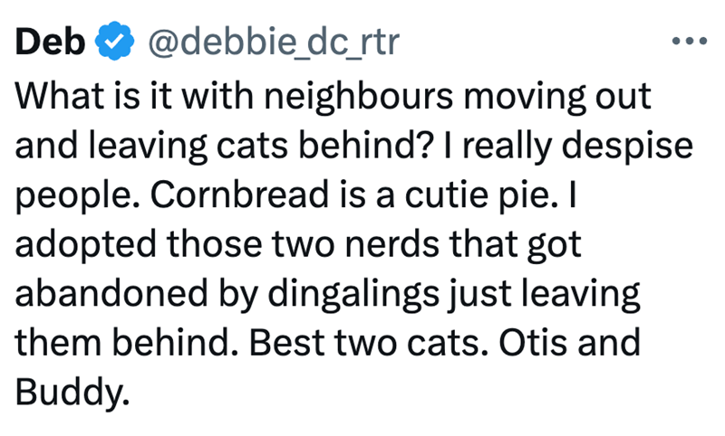 Deb @debbie_dc_rtr What is it with neighbours moving out and leaving cats behind? I really despise people. Cornbread is a cutie pie. I adopted those two nerds that got abandoned by dingalings just leaving them behind. Best two cats. Otis and Buddy.