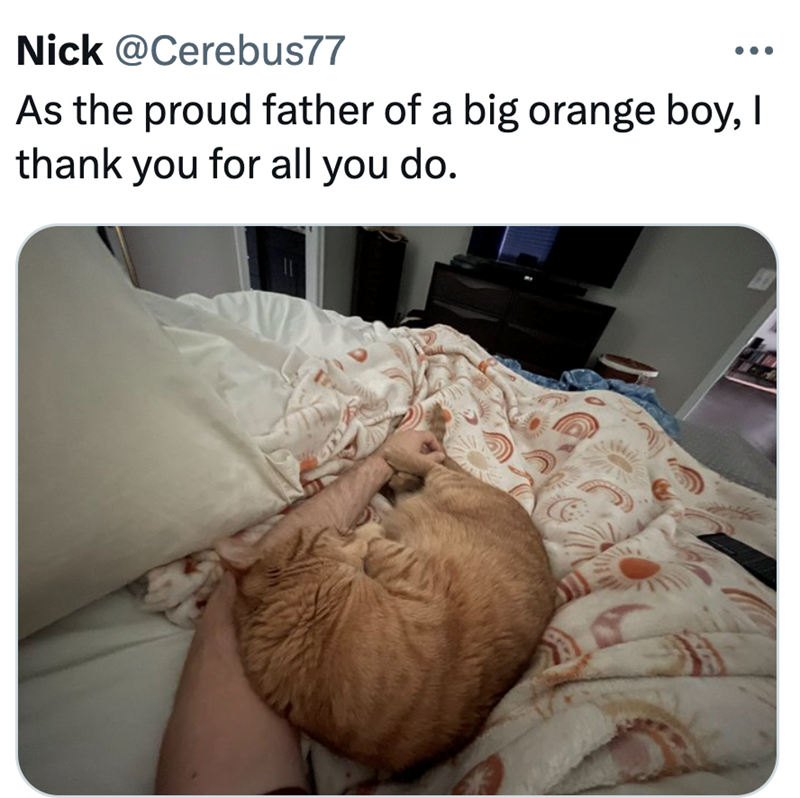 Nick @Cerebus77 As the proud father of a big orange boy, I thank you for all you do.