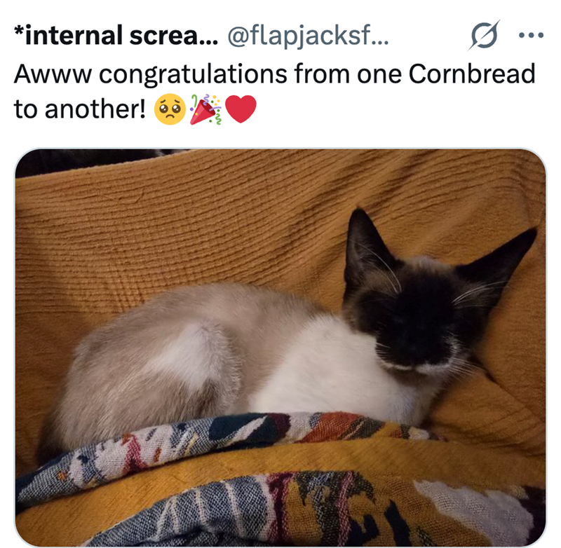 *internal screa... @flapjacksf... Ø ... Awww congratulations from one Cornbread to another! 6 17