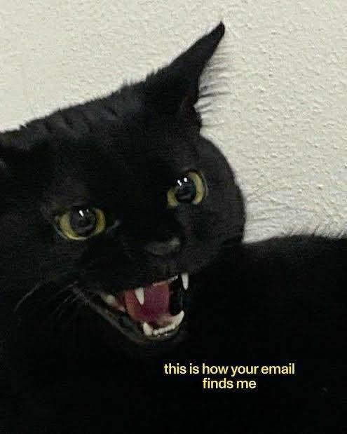 this is how your email finds me