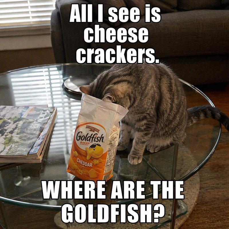 All I see is cheese crackers. PEYEMOCE PARM Goldfish DRED CHEDDAR WHERE ARE THE GOLDFISH?