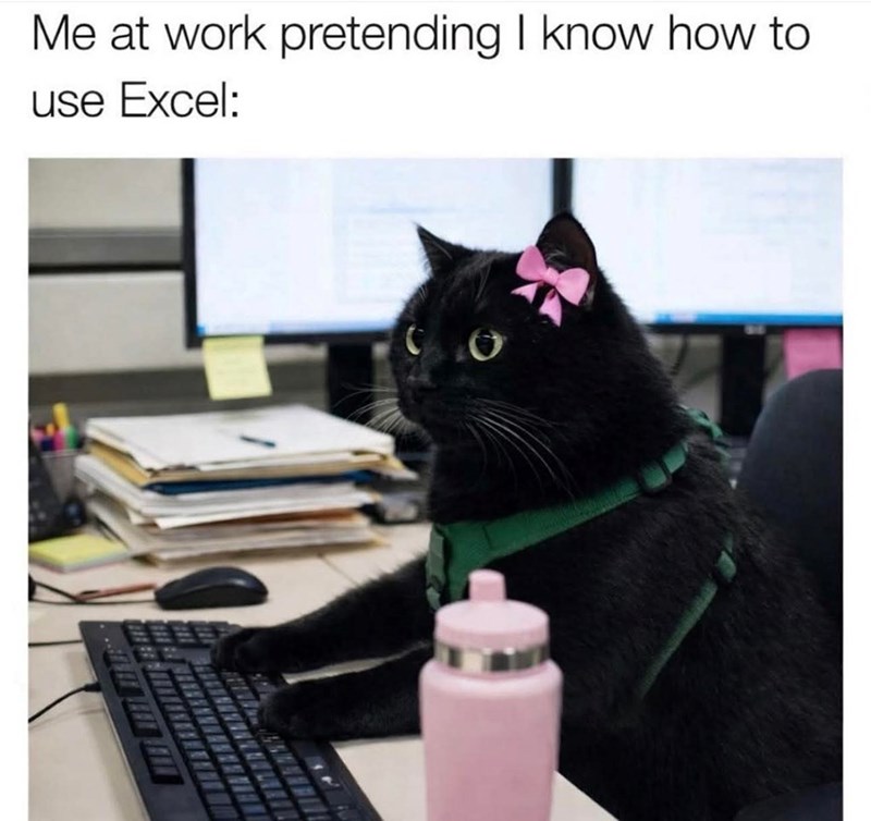 Me at work pretending I know how to use Excel: