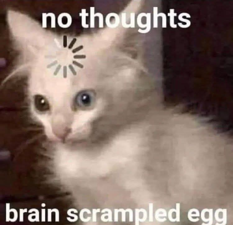 no thoughts brain scrampled egg
