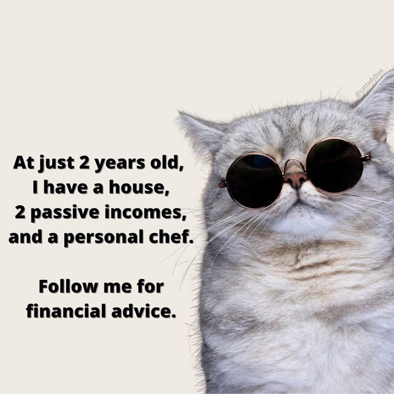 At just 2 years old, I have a house, 2 passive incomes, and a personal chef. Follow me for financial advice. @catladybox