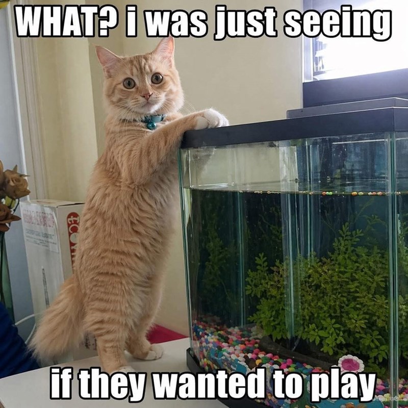 WHAT? i was just seeing ECO if they wanted to play